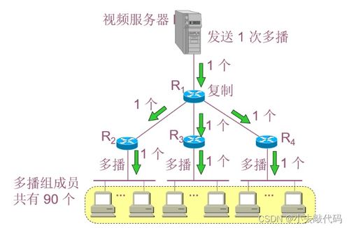 计算机网络第四章总结 网络层核心技术与协议解析